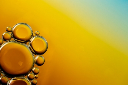 Oils and Meals 